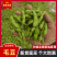 王家坝翠绿宝毛豆大板型毛豆大量上市产地一手货源诚信代办
