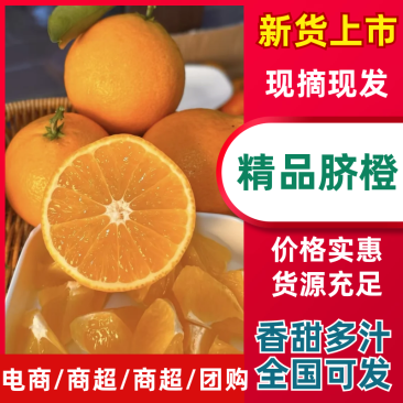 【脐橙】精品脐橙一件可发品质保障可对接全国电商商超市场等