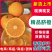 【脐橙】精品脐橙一件可发品质保障可对接全国电商商超市场等