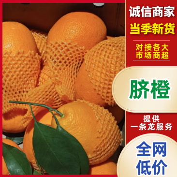 【精选】四川直发脐橙🍊几十万斤品质保障价格美丽欢迎采购