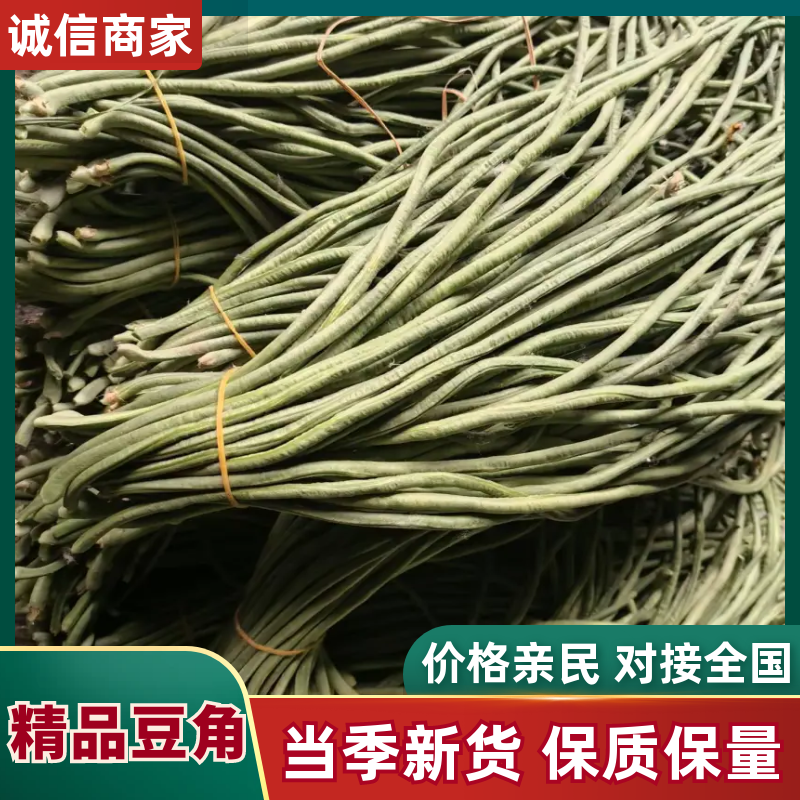 豆角品质保证服务周到产地直发价格美丽欢迎联系咨询