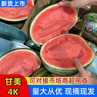 【精选】甘美4k西瓜无籽西瓜基地直发保质保量全国发货