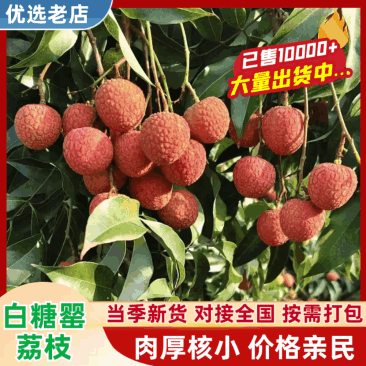 白糖樱荔枝,果园直供,货源充足,可订果园可供商超