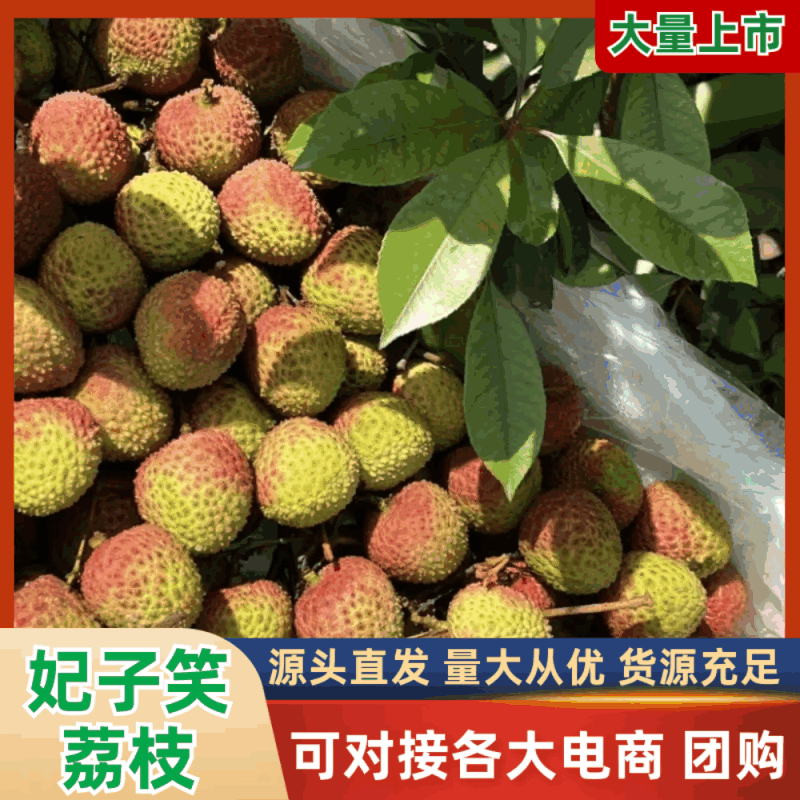 妃子笑荔枝，本产地量大地理位置优越，品质保证量大从优