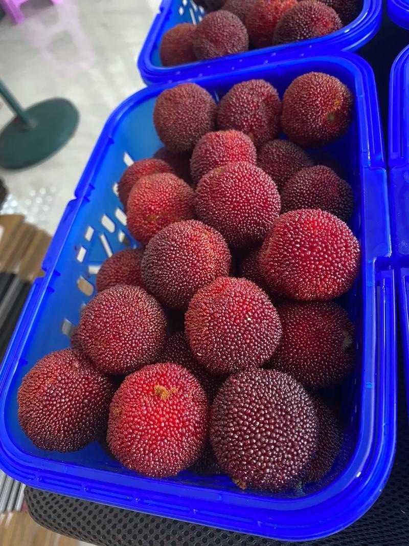 湖南怀化洪江托口东魁杨梅精品杨梅产地一手货源