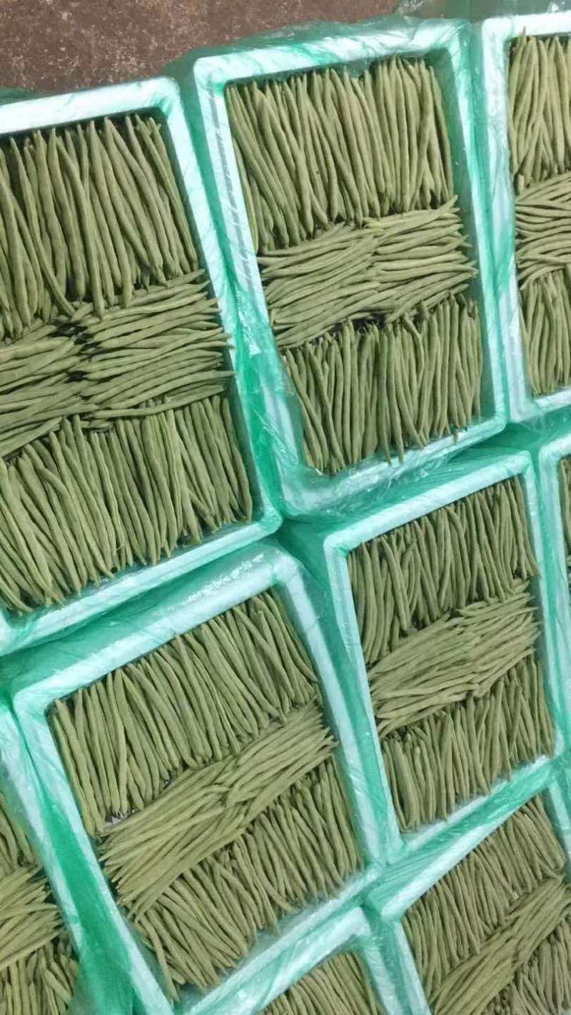 小金豆芸豆基地直发量大从优品质保证