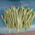 小金豆芸豆基地直发量大从优品质保证