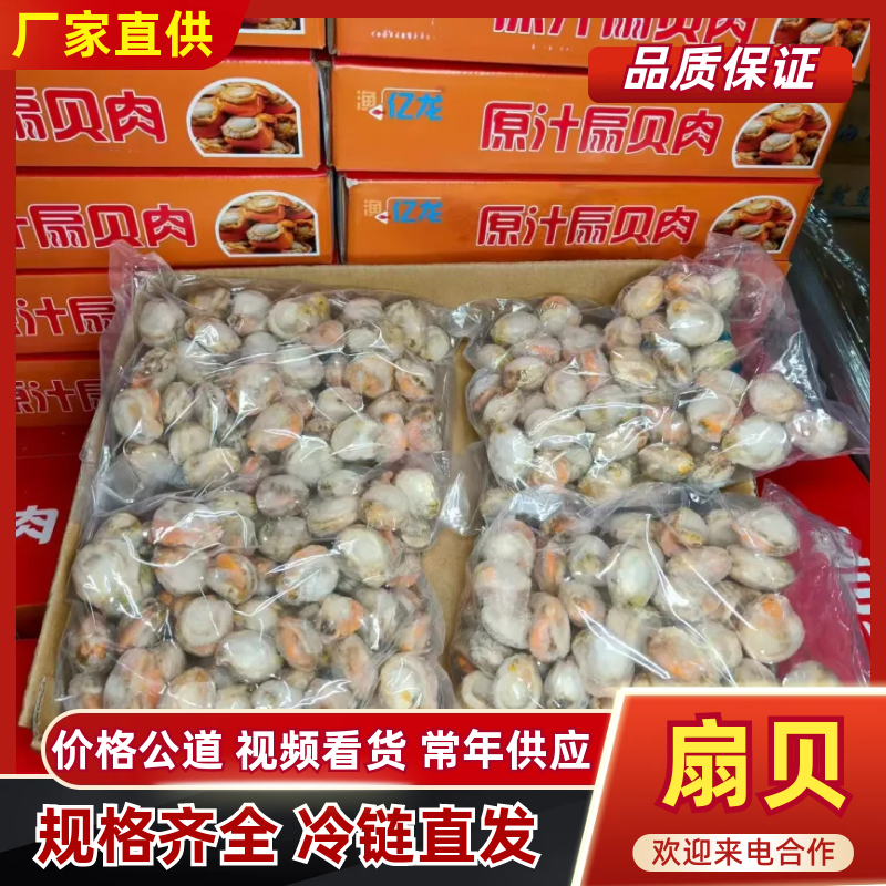8斤原汁扇贝肉，高品质，大小均匀，不跳号，品牌保障