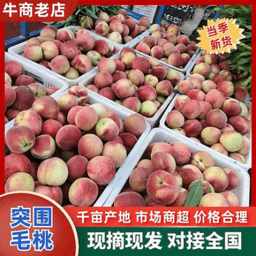 突围毛桃&湖北毛桃【基地现摘全国代发】量大从优/欢迎来电