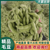【火爆】精品毛豆翠绿宝毛豆上市了视频看货欢迎订购产地直供