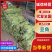 精品豆角子，炒不完的货量充足。