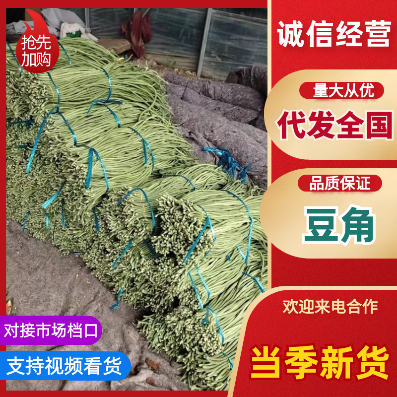 精品豆角子，炒不完的货量充足。