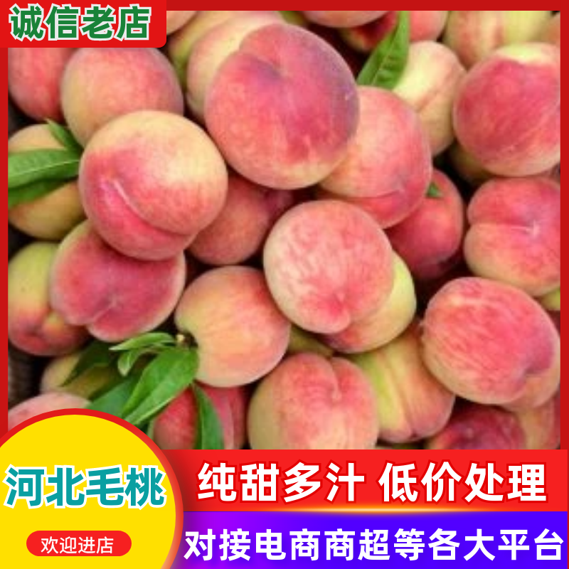 精品毛桃口感脆甜多汁产地直发对接商超市场大量供应