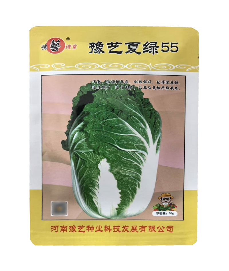 豫艺夏绿55白菜种子早熟耐热夏大白菜种子