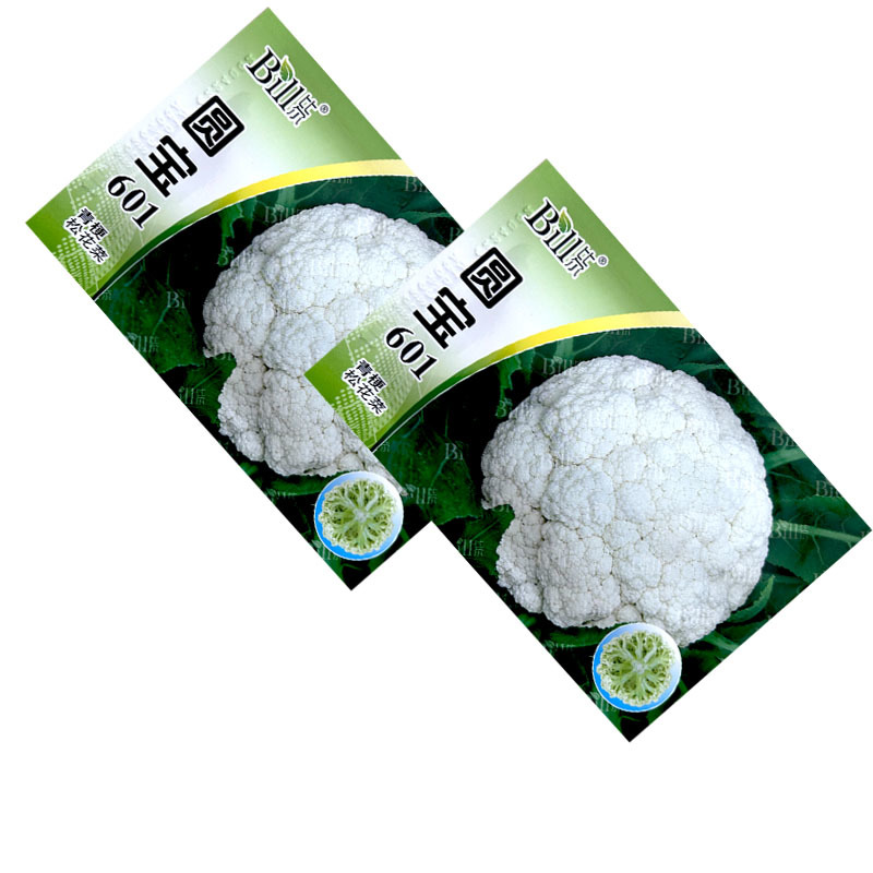圆宝601青梗松花菜种子8g耐热细米粒早熟青梗菜基地型