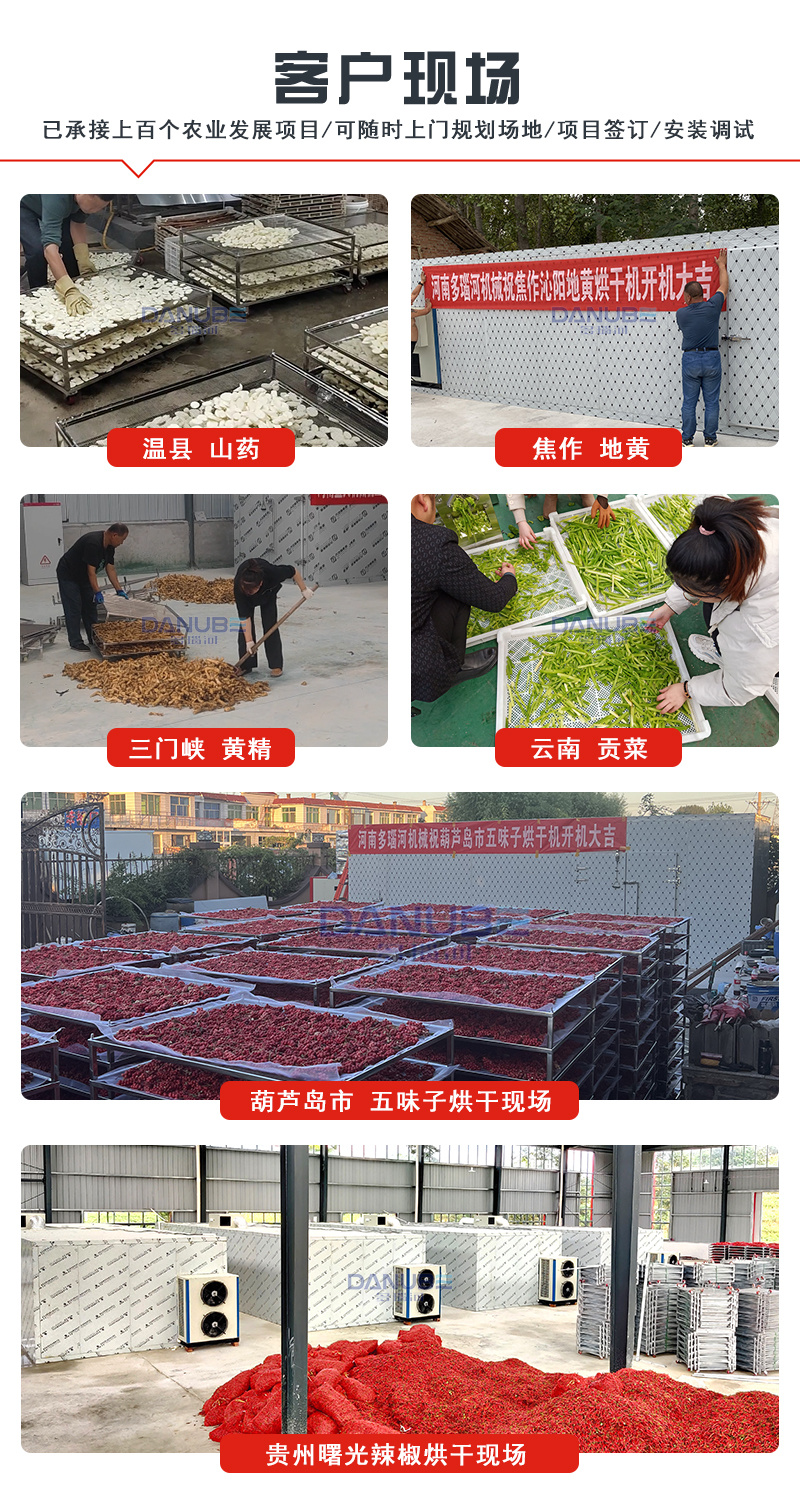 金莲花烘干机中草药金钱草烘干房曼陀罗烘箱栀子花茶干燥设备