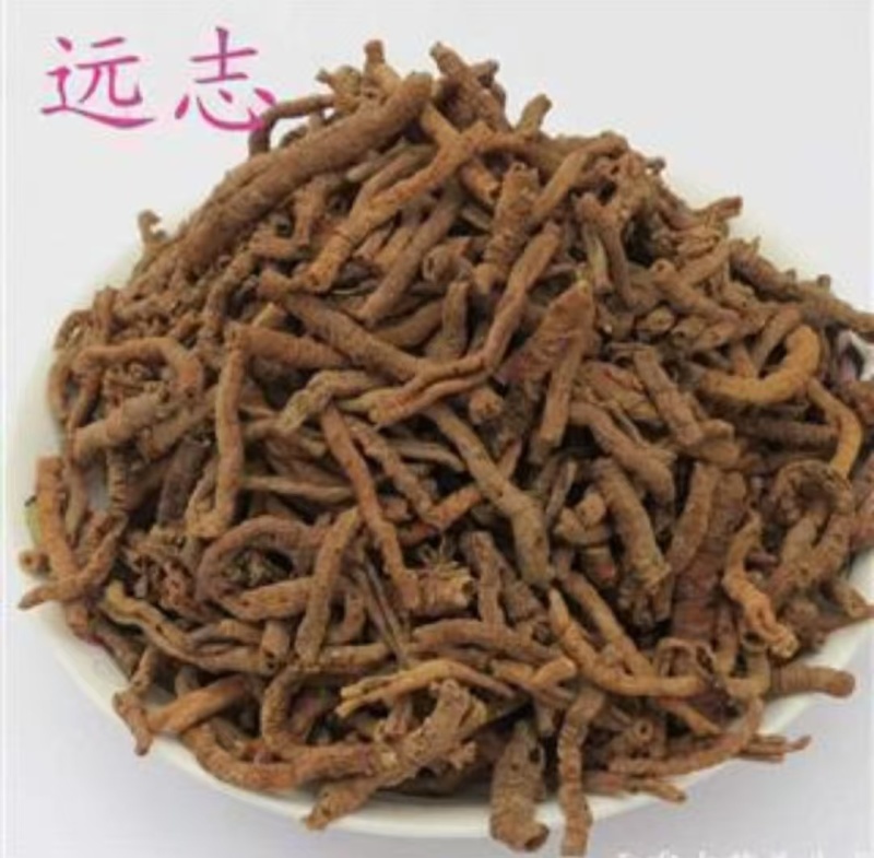 远志