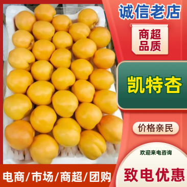 凯特杏精品杏可做罐头也能做商用品类齐全价格美丽欢迎