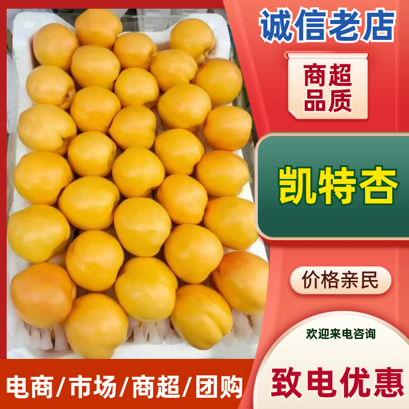 河北凯特杏果肉饱满色泽鲜亮全程一条龙服务新鲜供货稳定