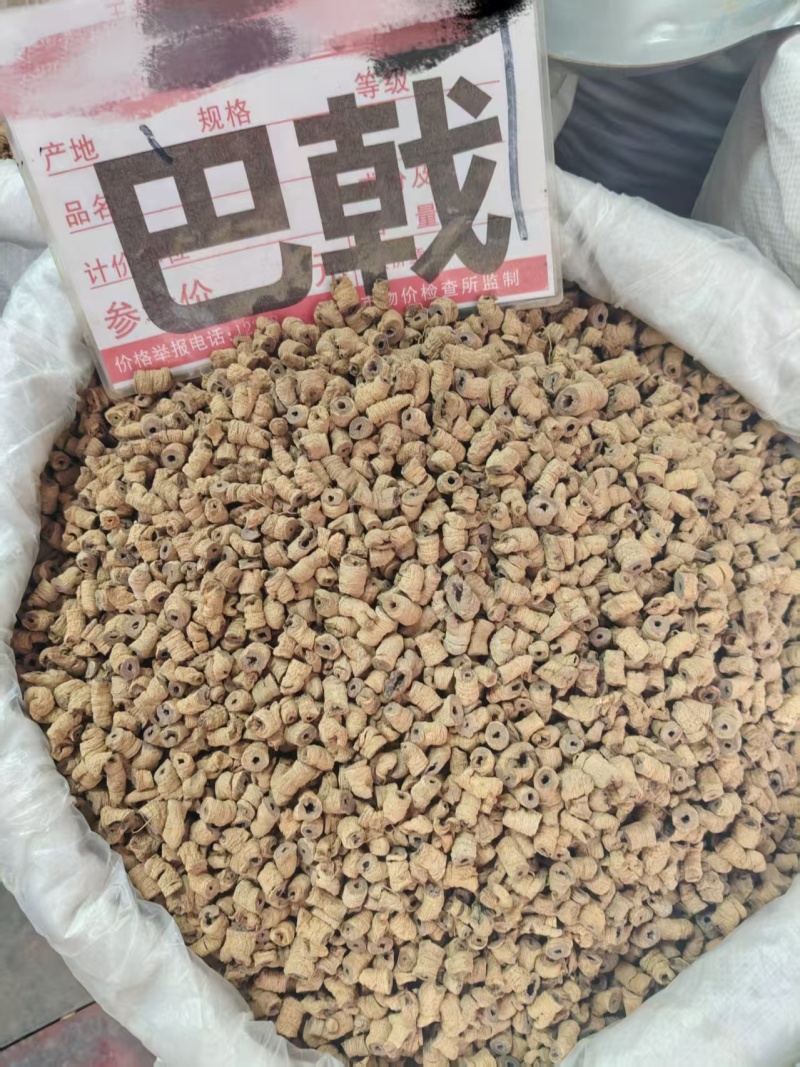 巴戟天