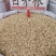 白茅根大货价6.5元/斤