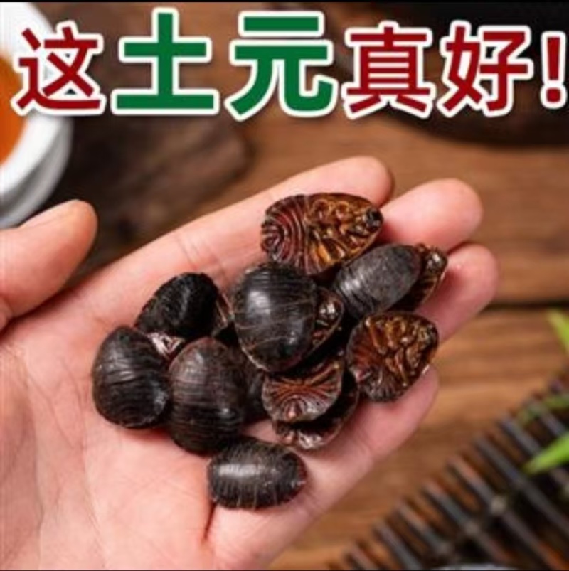 土元、专营