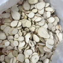 白芷大货价8.5元/斤
