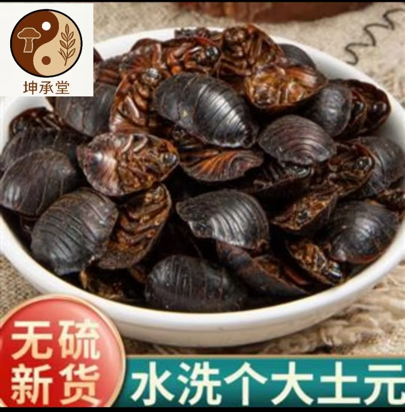 土元、专营