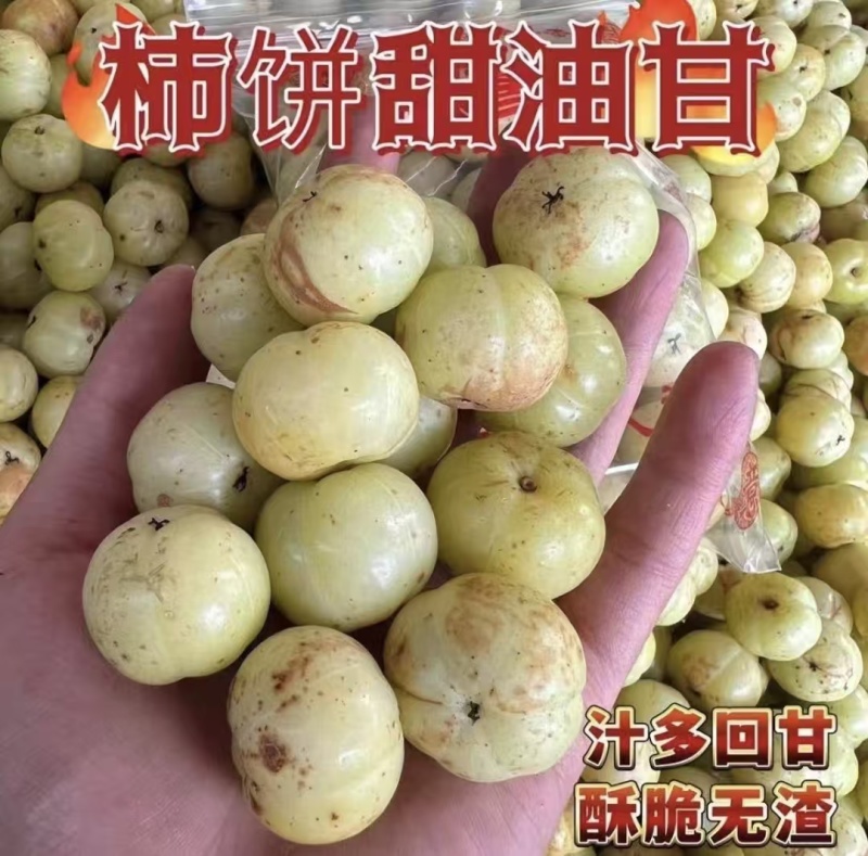 广东潮汕甜油甘果牛柑果量大从优诚信合作欢迎来电咨询