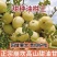 广东潮汕甜油甘果牛柑果量大从优诚信合作欢迎来电咨询