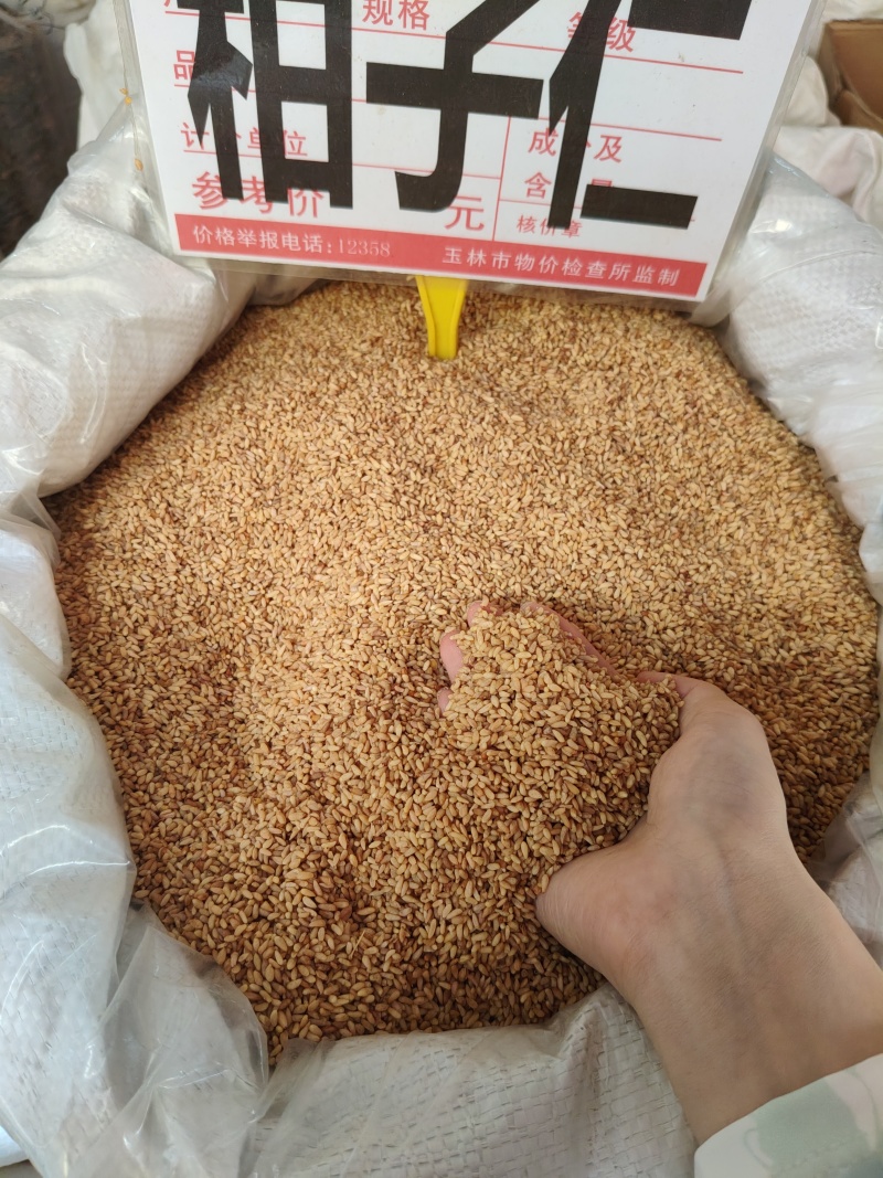柏子仁大货价55元/斤