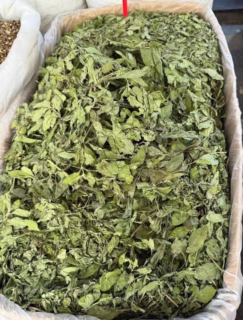 薄荷叶大货价10元/斤