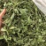 薄荷叶大货价10元/斤