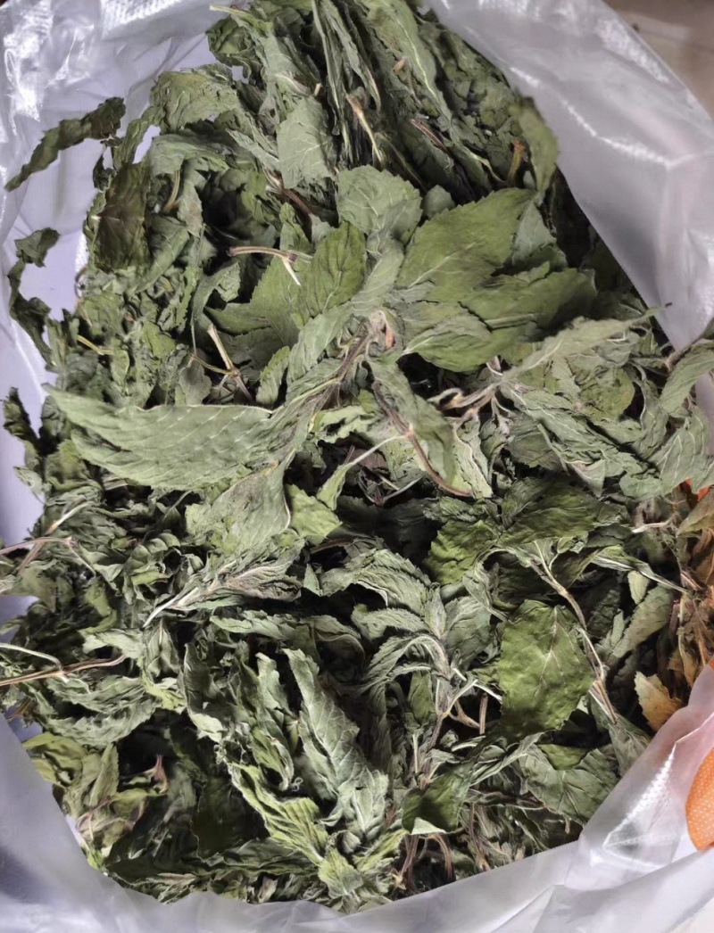 薄荷叶大货价10元/斤