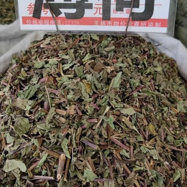 薄荷叶大货价10元/斤