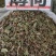 薄荷叶大货价10元/斤