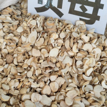 贝母大货价20元/斤