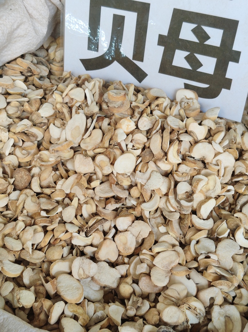 贝母大货价20元/斤