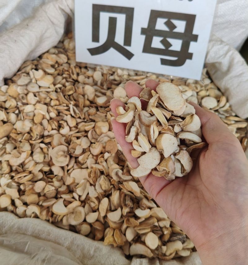 贝母大货价20元/斤
