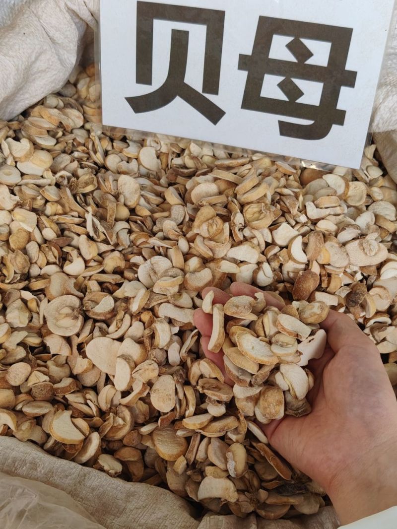贝母大货价20元/斤
