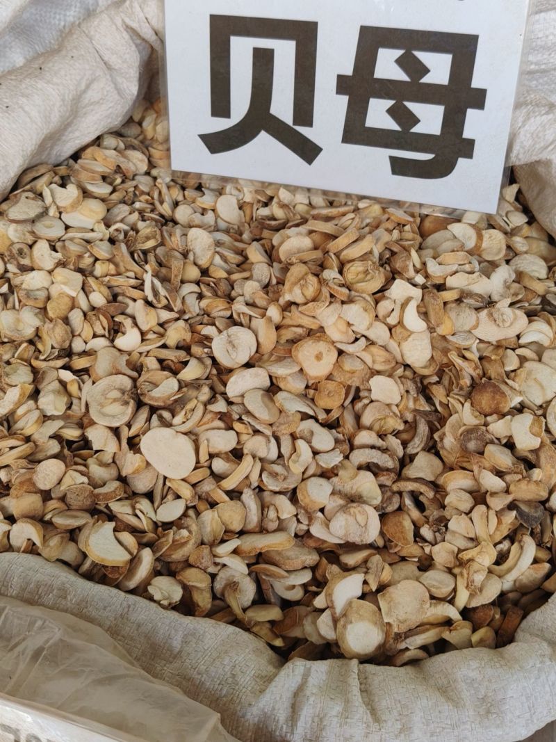 贝母大货价20元/斤