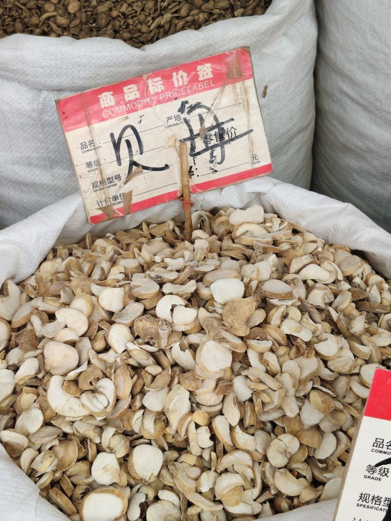 贝母大货价20元/斤