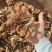 茶树菇大货价60元/斤