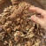 茶树菇大货价60元/斤