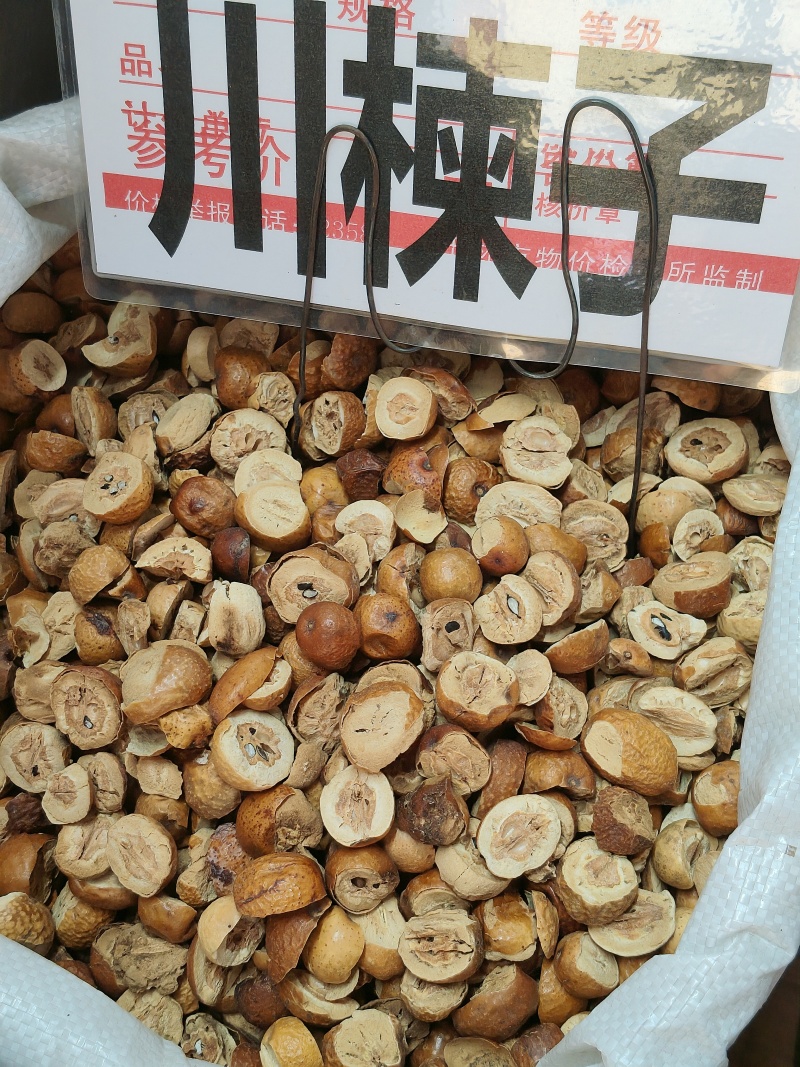 川楝子大货价4元/斤