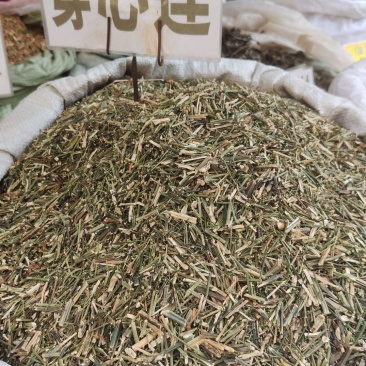 穿心莲大货价3.5元/斤
