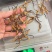 冬虫夏草大货价85元/克