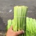【芹菜】江苏精品水芹货源充足质量保障对接各大电商