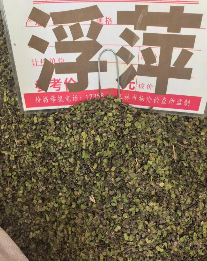 浮萍大货价6元/斤