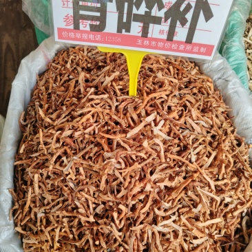 骨碎补大货价25元/斤